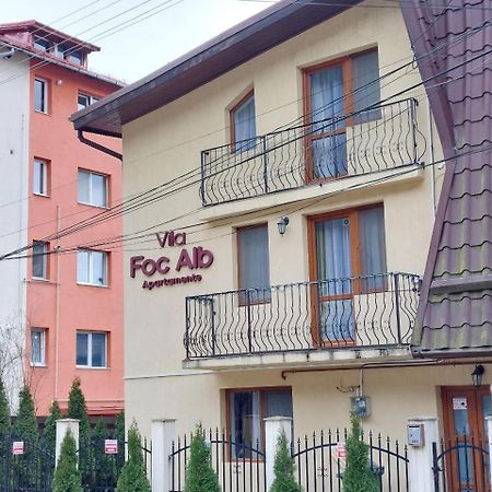 Vila Foc Alb Apartamente-Buşteni Екстериор снимка