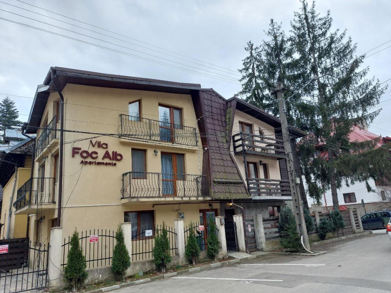 Vila Foc Alb Apartamente-Buşteni Екстериор снимка