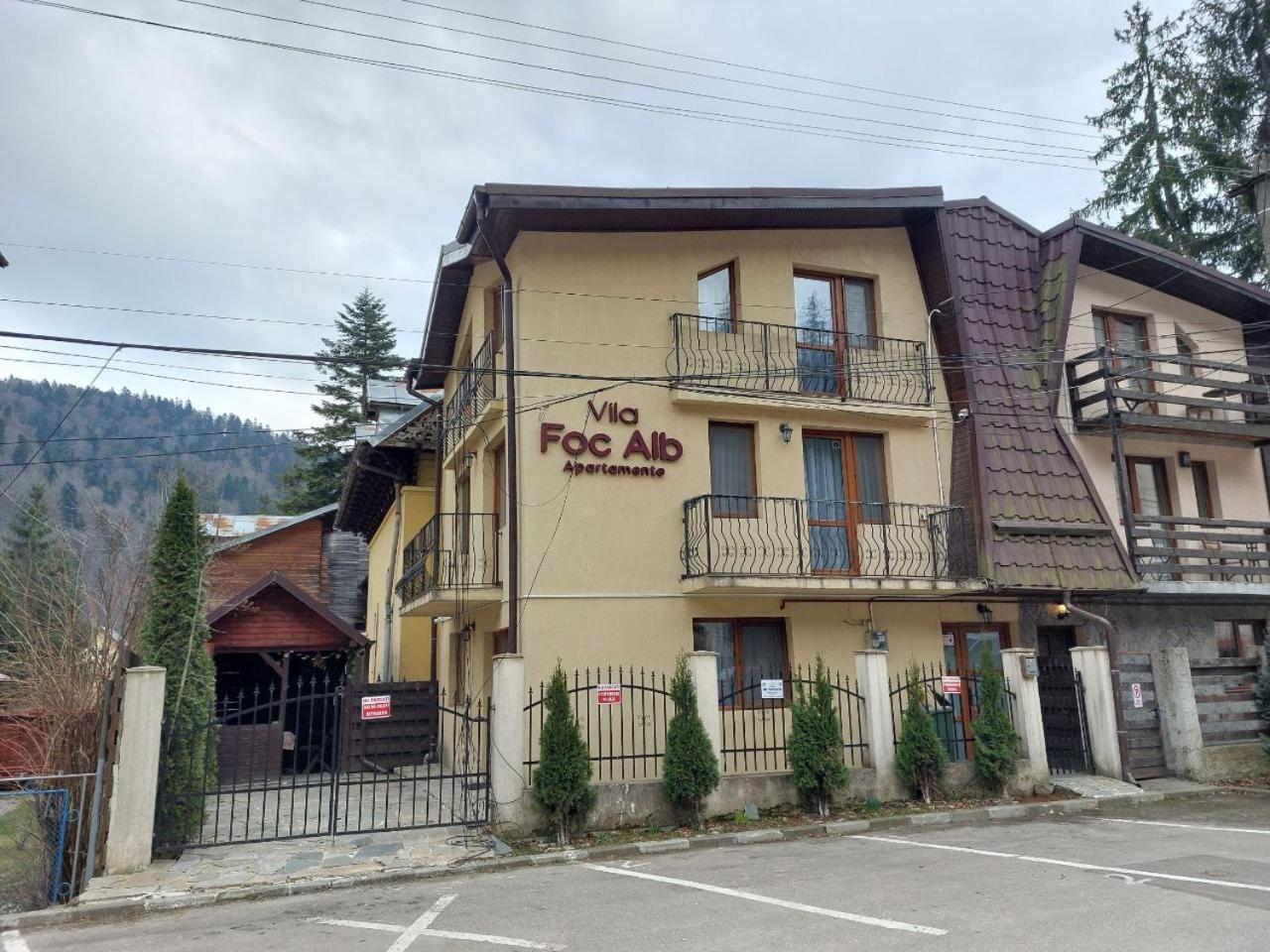 Vila Foc Alb Apartamente-Buşteni Екстериор снимка